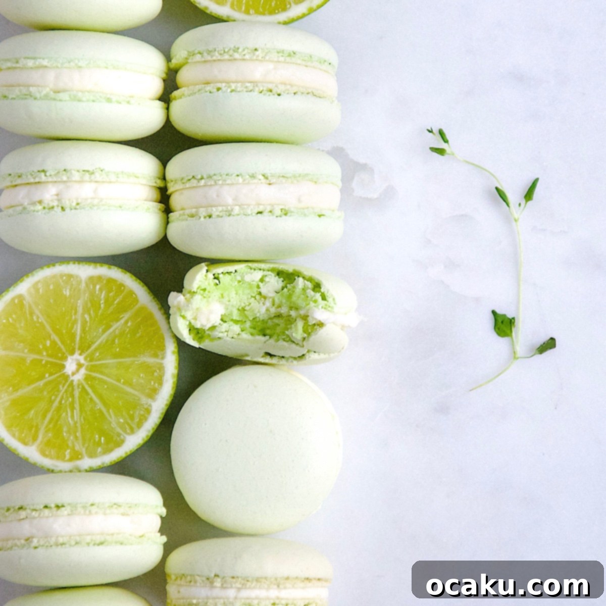 Sunshine Lime Macarons 1 featured 2041