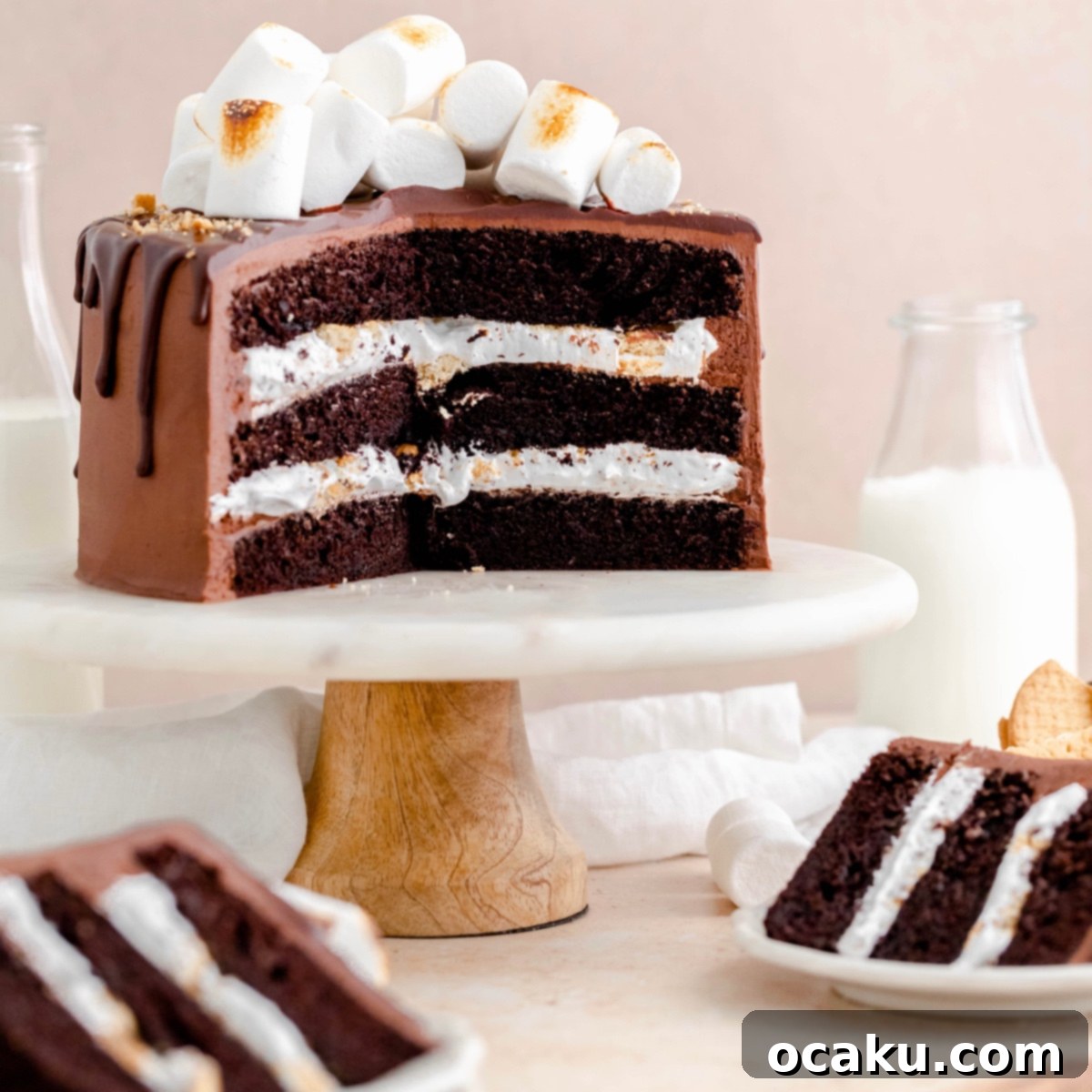 S'mores Dream Cake 1 featured 3031