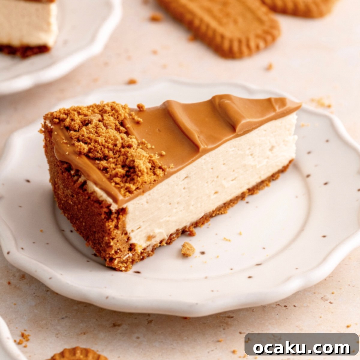 Caramelized Biscuit Cheesecake 1 featured 4557