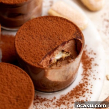 A chocolate tiramisu cup with cocoa powder on top