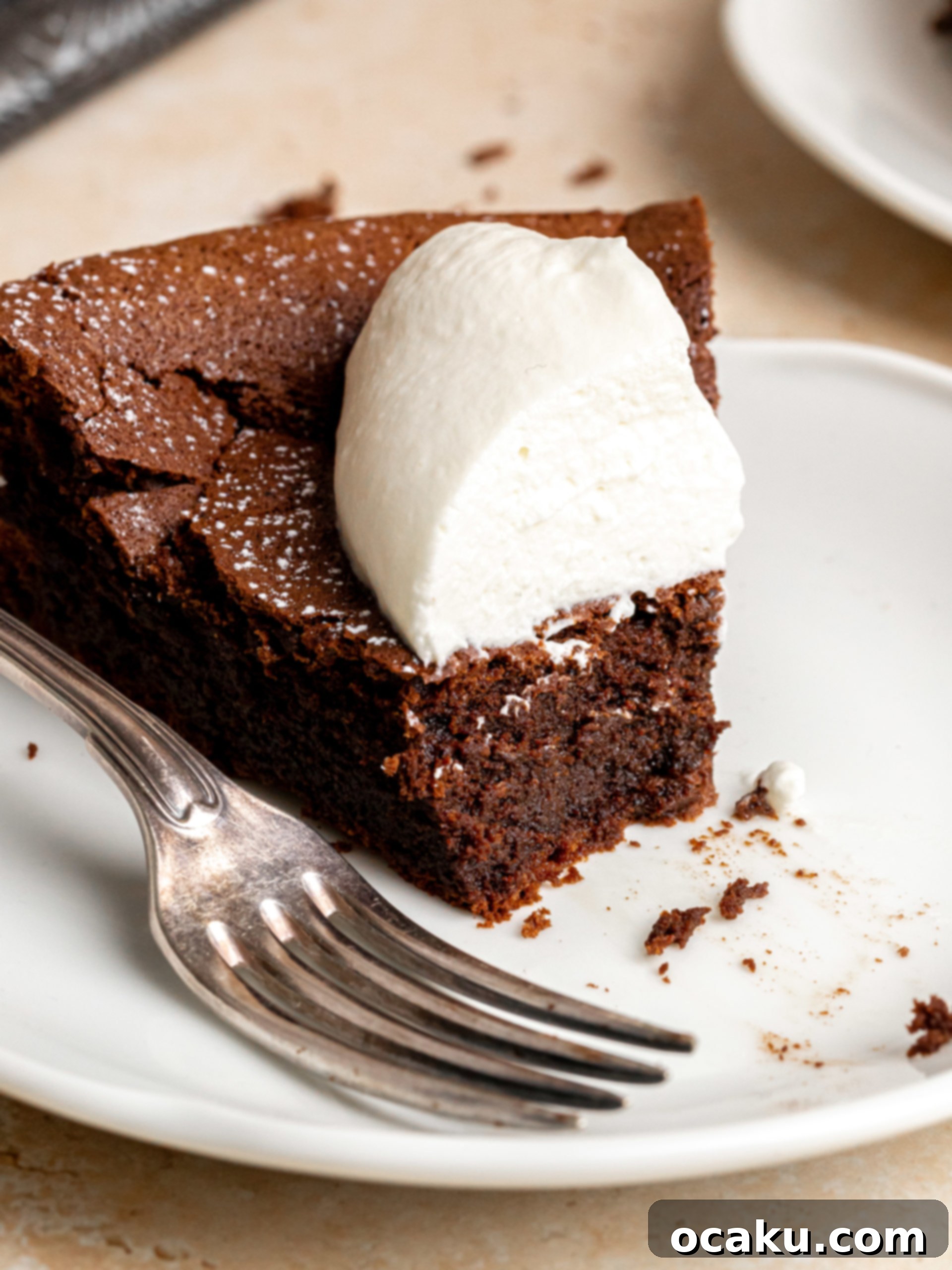A large Flourless Chocolate Espresso Cake dusted with powdered sugar, ready to be served.