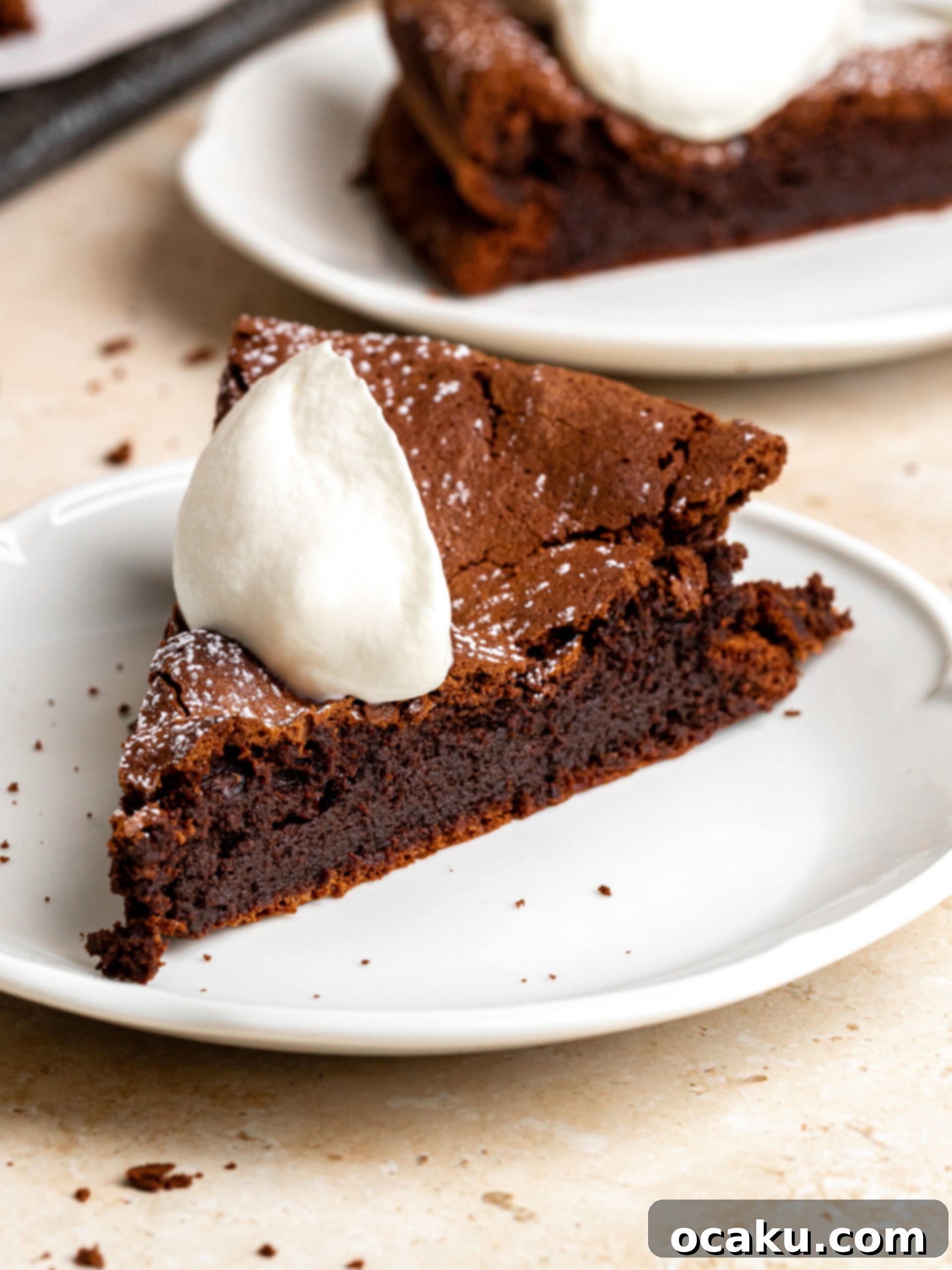 Close-up of a Flourless Chocolate Espresso Cake, showcasing its dense, moist texture and rich dark color.