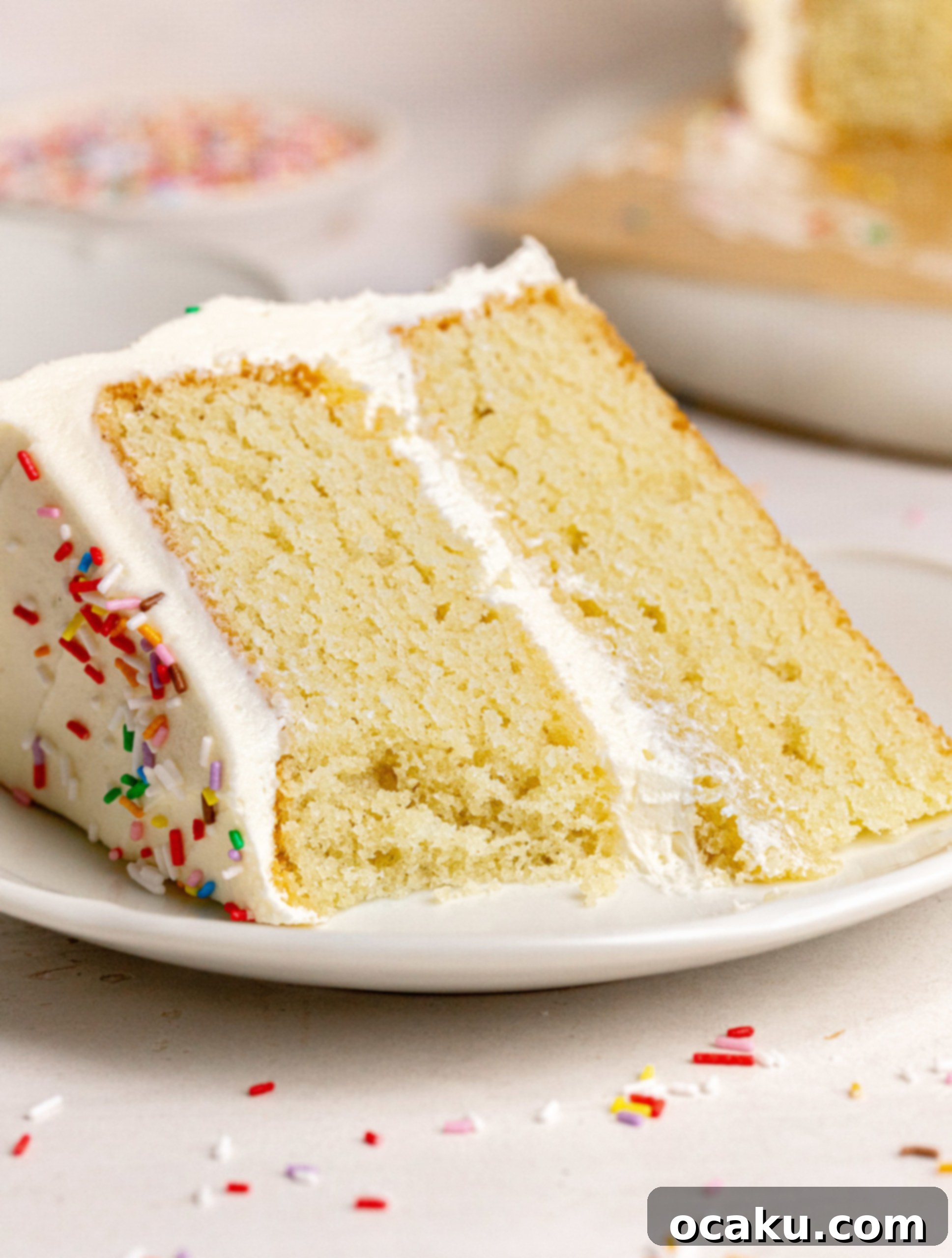 Close-up of a classic vanilla birthday cake, showing frosted layers and sprinkles.