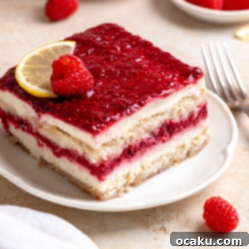 Raspberry Dream Tiramisu 13 A delicious slice of Raspberry Tiramisu, showcasing its distinct layers and fresh raspberry garnish.
