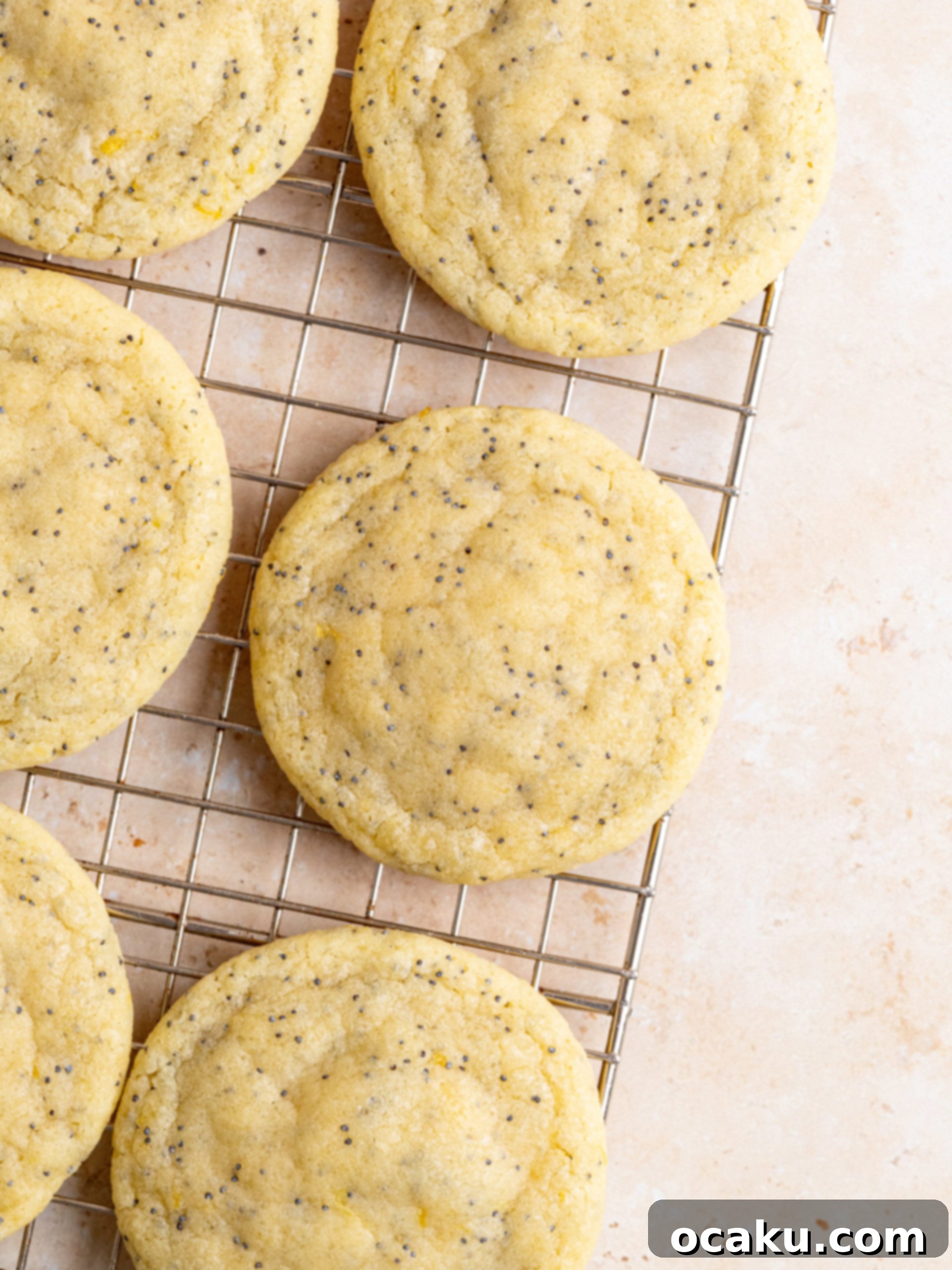 Baked Lemon Poppy Seed Cookies cooling on a wire rack, waiting for frosting