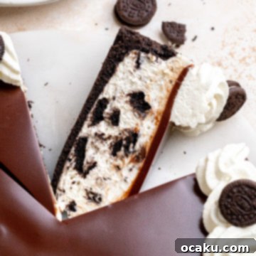 Easy No-Bake Oreo Cheesecake 11 No-Bake Oreo Cheesecake with chocolate ganache, whipped cream, and mini Oreos on top, ready to serve.
