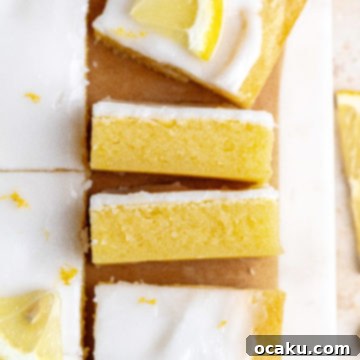Zesty Lemon Fudge Squares 7 Perfectly fudgy Lemon Brownies with a sweet lemon glaze.