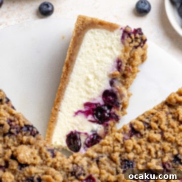 A stunning Blueberry Crumble Cheesecake, perfectly baked with a golden crumble topping and juicy blueberries, ready to be served.