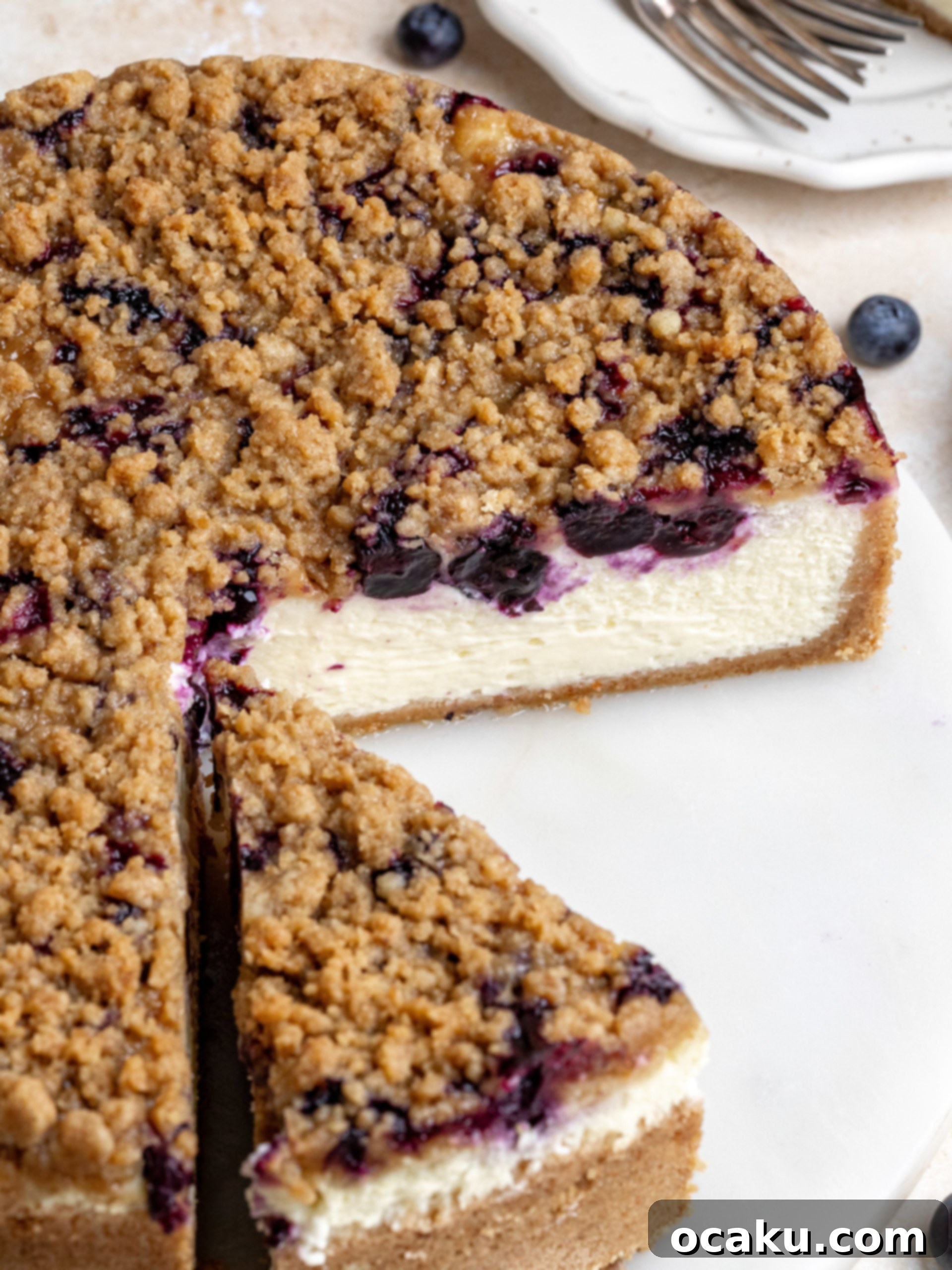 A beautifully baked blueberry crumble cheesecake with golden crumble topping, cooling on a wire rack.
