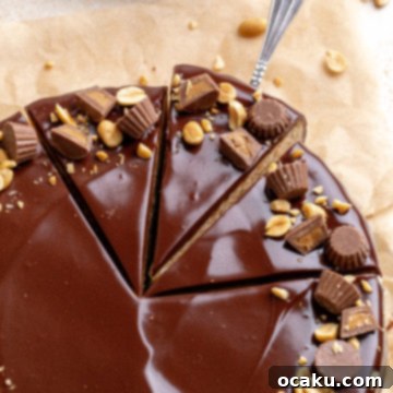 A slice of creamy Peanut Butter Chocolate Cheesecake with chocolate ganache, mini peanut butter cups, and peanuts on top.