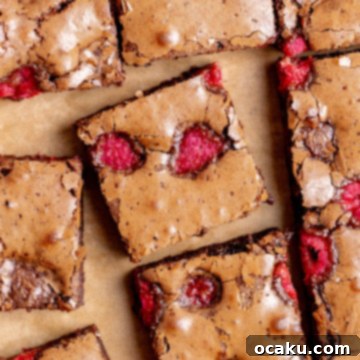 Final image of a perfect Raspberry Brownie slice.