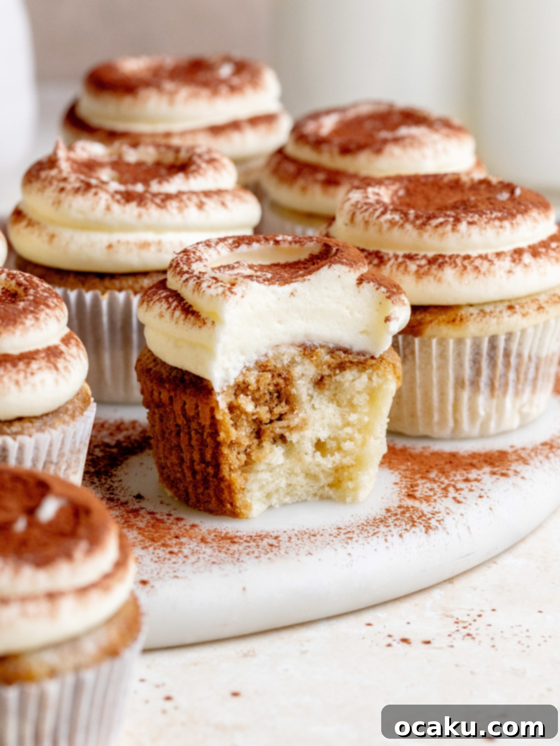 Tiramisu Cupcakes with mascarpone buttercream and cocoa powder