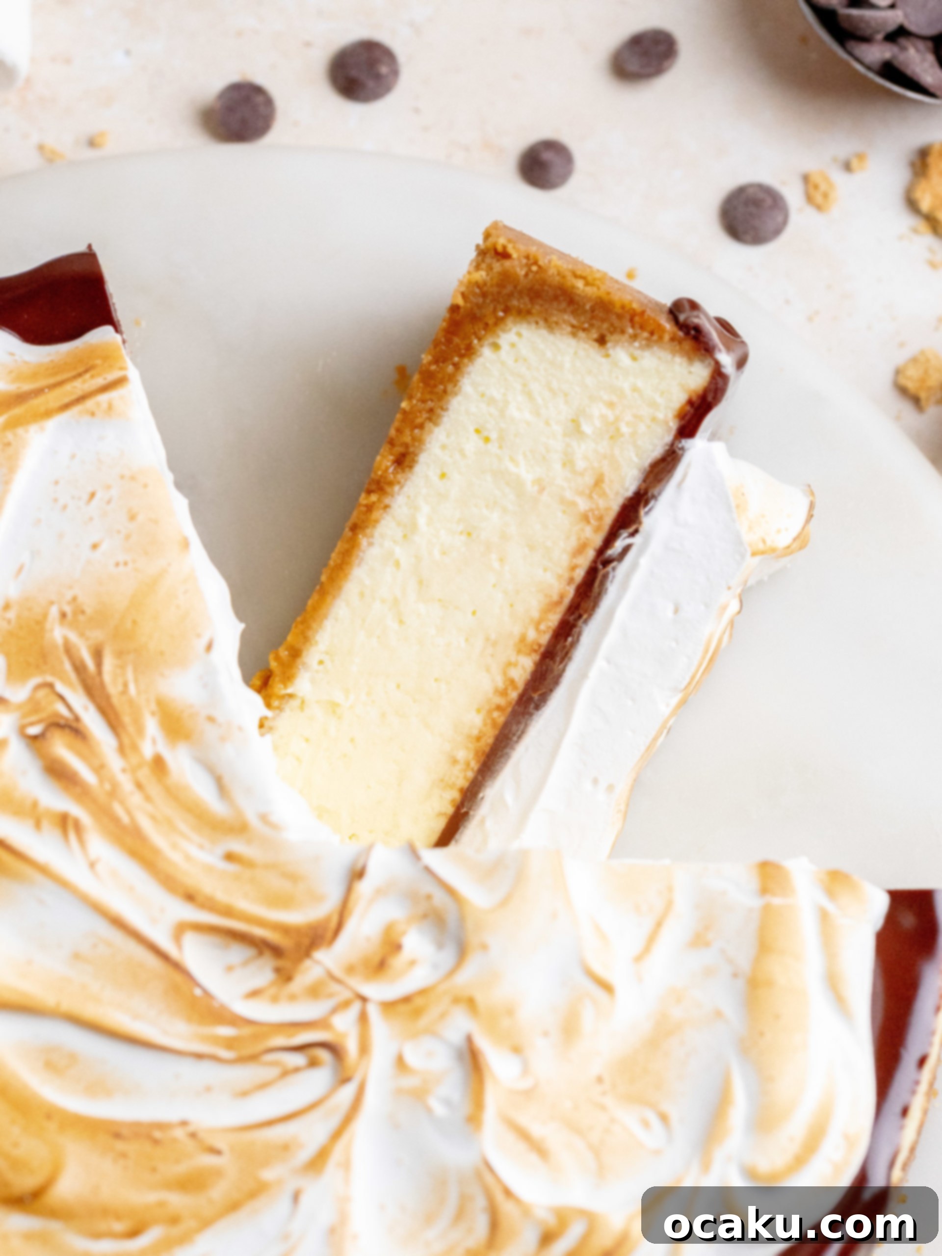 S'mores Cheesecake with graham cracker crust, chocolate ganache, and toasted meringue