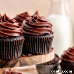 Chocolate Fudge Cupcakes with star piped frosting