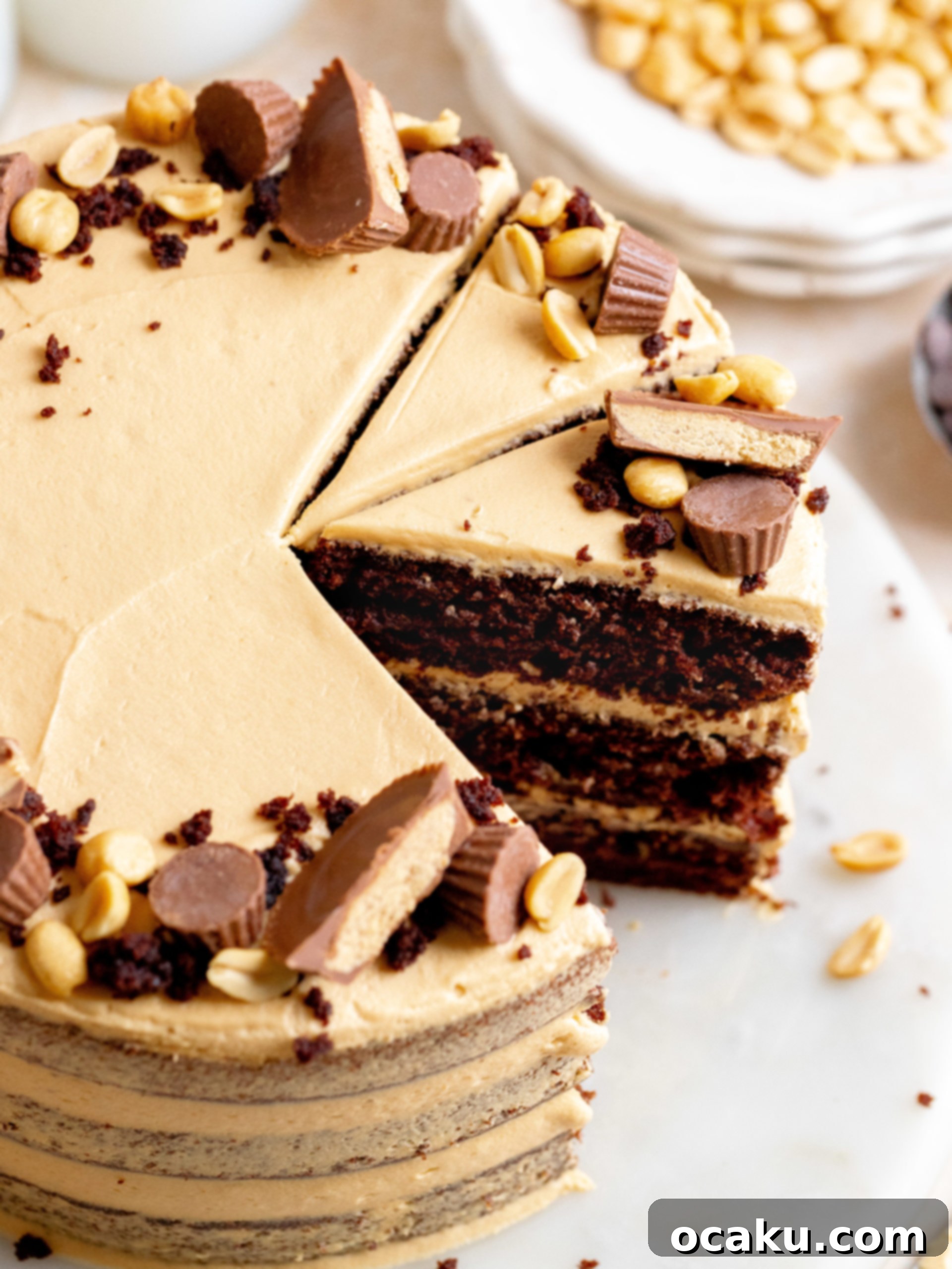 Three-layer peanut butter chocolate cake with peanut butter cups and chopped peanuts on top
