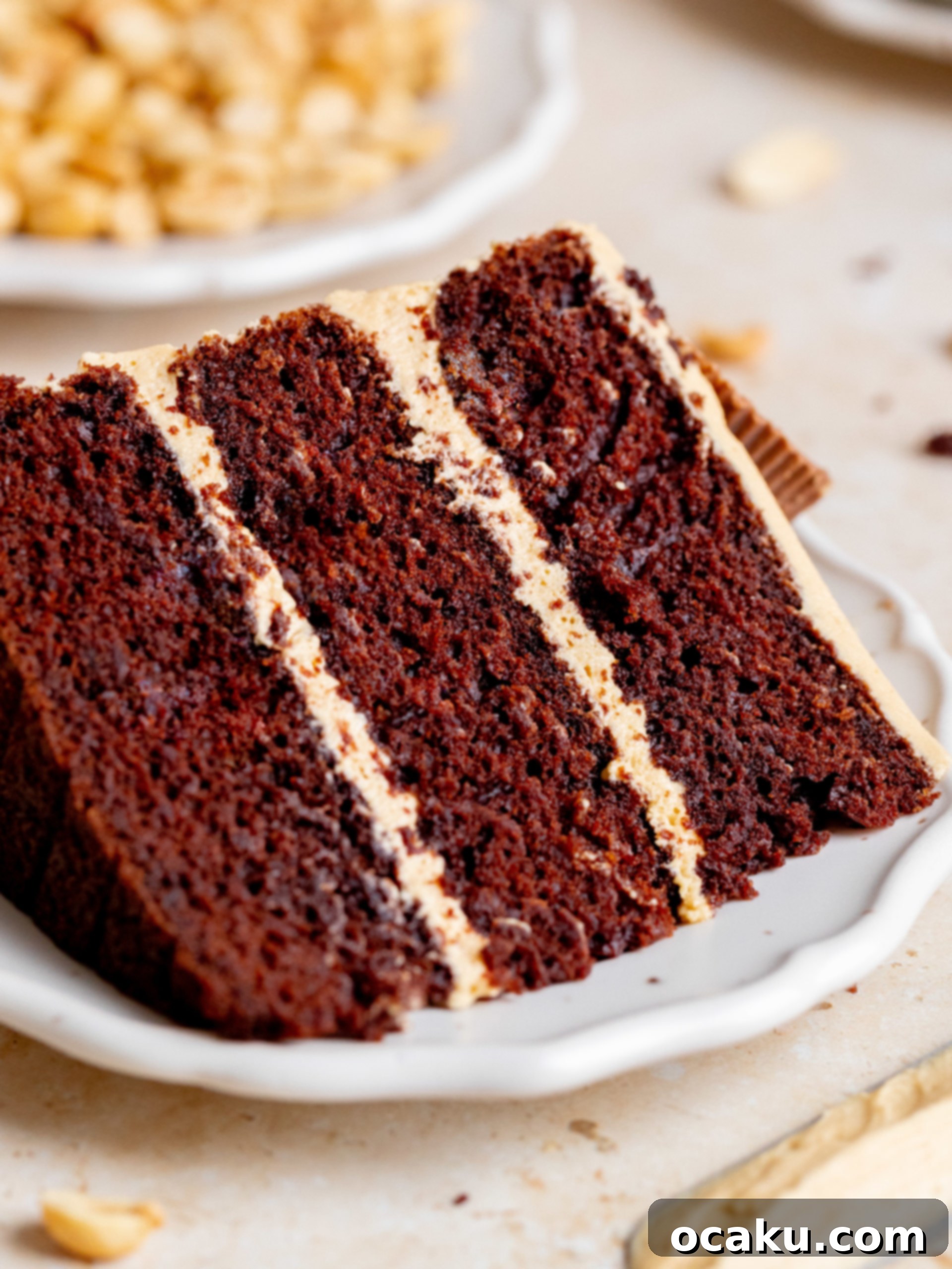 Close-up of a slice of peanut butter chocolate cake showing the moist chocolate layers and creamy peanut butter frosting.