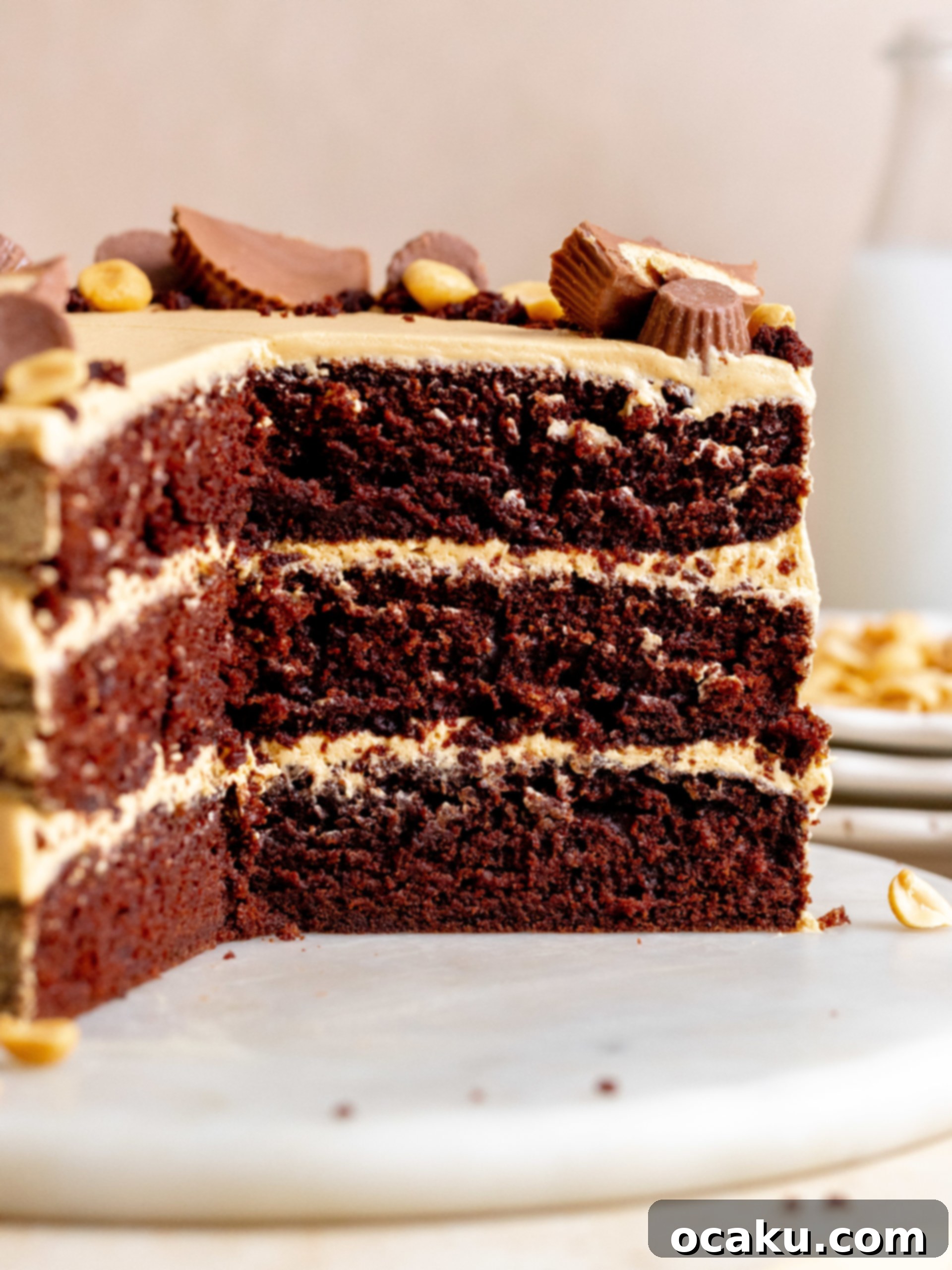 A slice of the peanut butter chocolate cake served on a plate.