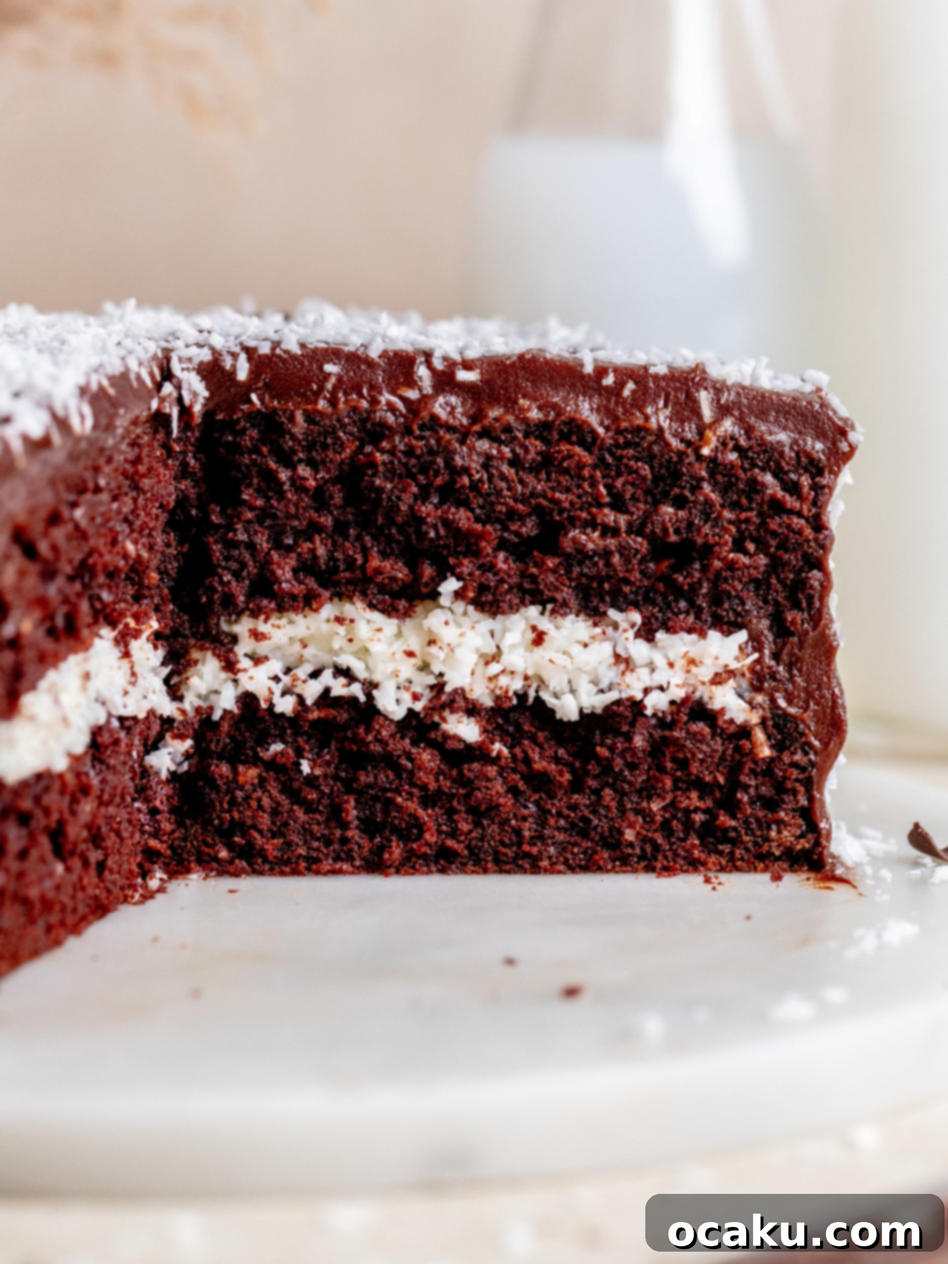 A full Chocolate Coconut Layer Cake decorated with shredded coconut.