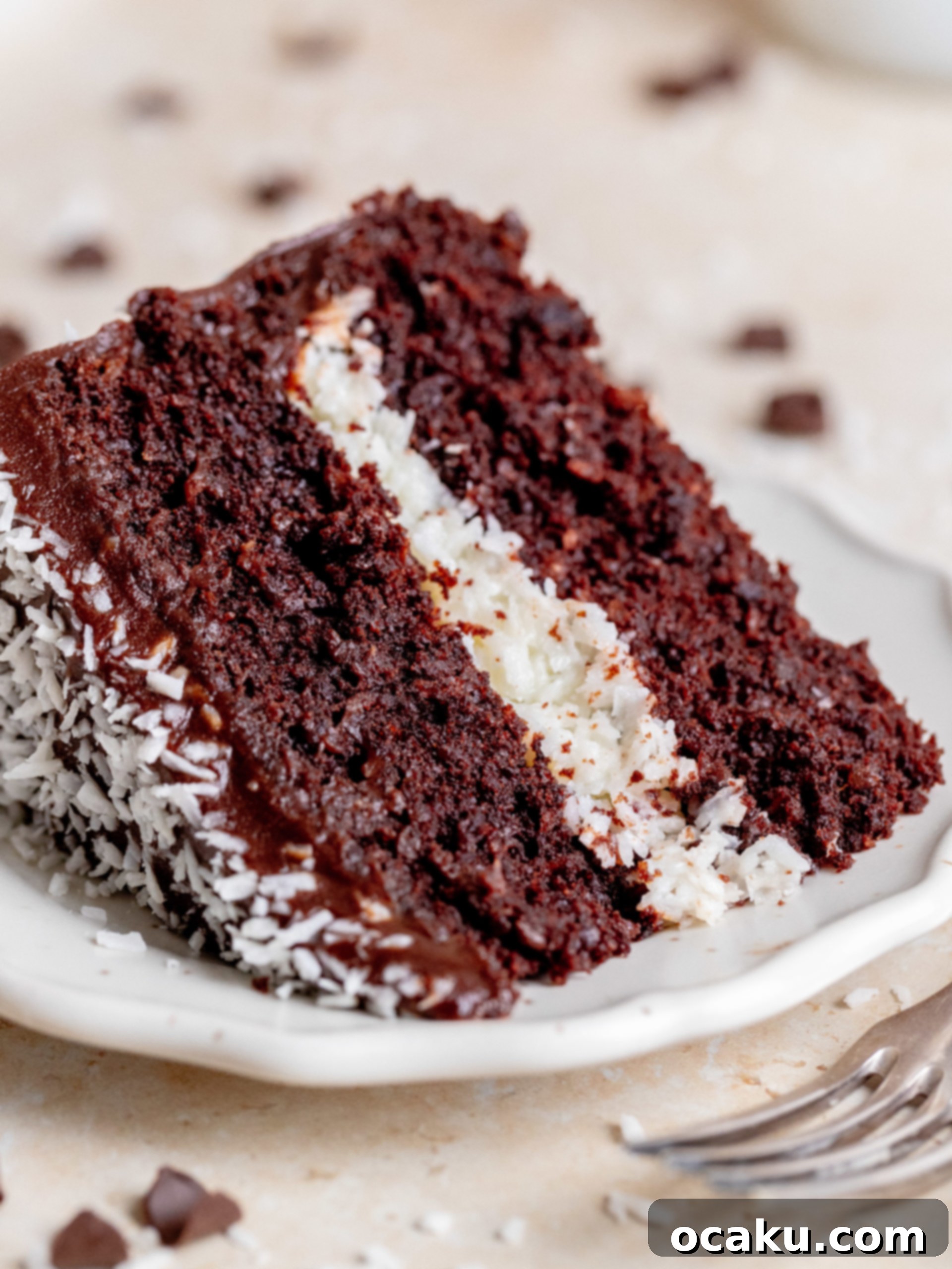 Close-up of a moist chocolate coconut cake layer.