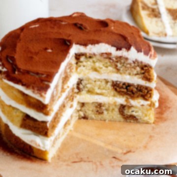 Espresso-Soaked Tiramisu Masterpiece 12 Tiramisu Layer Cake slice