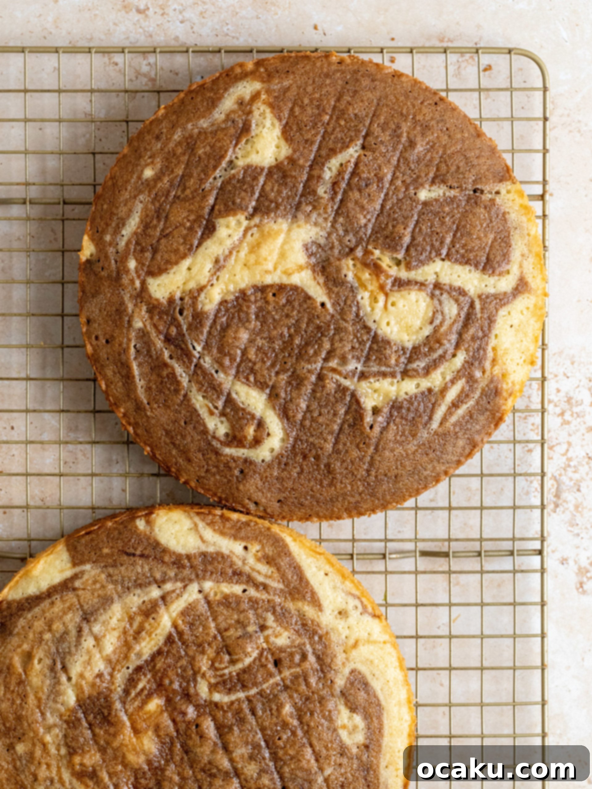 Espresso-Soaked Tiramisu Masterpiece 7 Swirling vanilla and coffee batters together in a baking pan for a marbled effect.