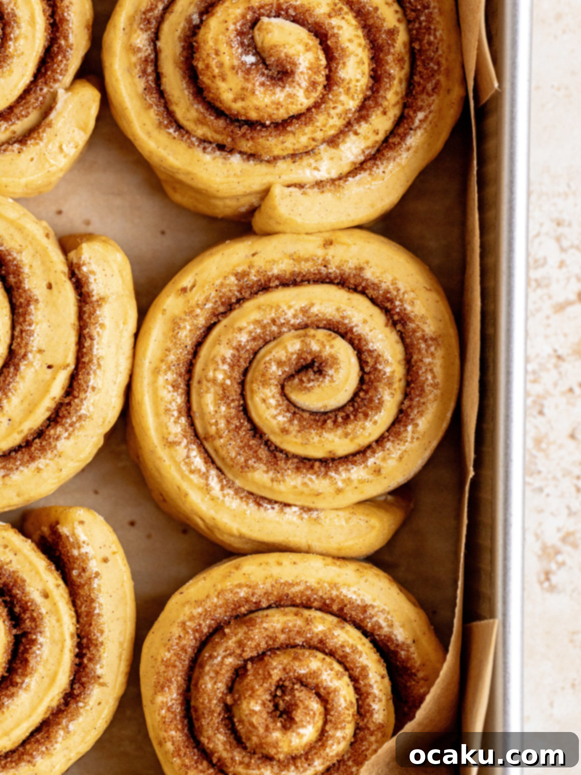 A single pumpkin cinnamon roll on a plate, drizzled with frosting.