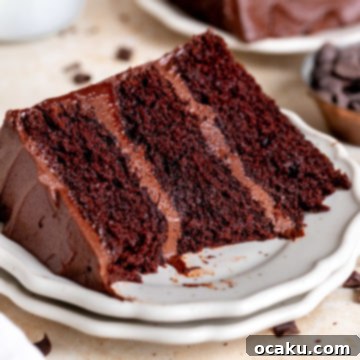 Matilda's Irresistibly Moist Cake 9 A perfectly sliced piece of moist Matilda's chocolate cake with rich frosting.