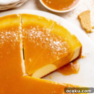 Caramel Cheesecake with a generous drizzle of salted caramel on top.