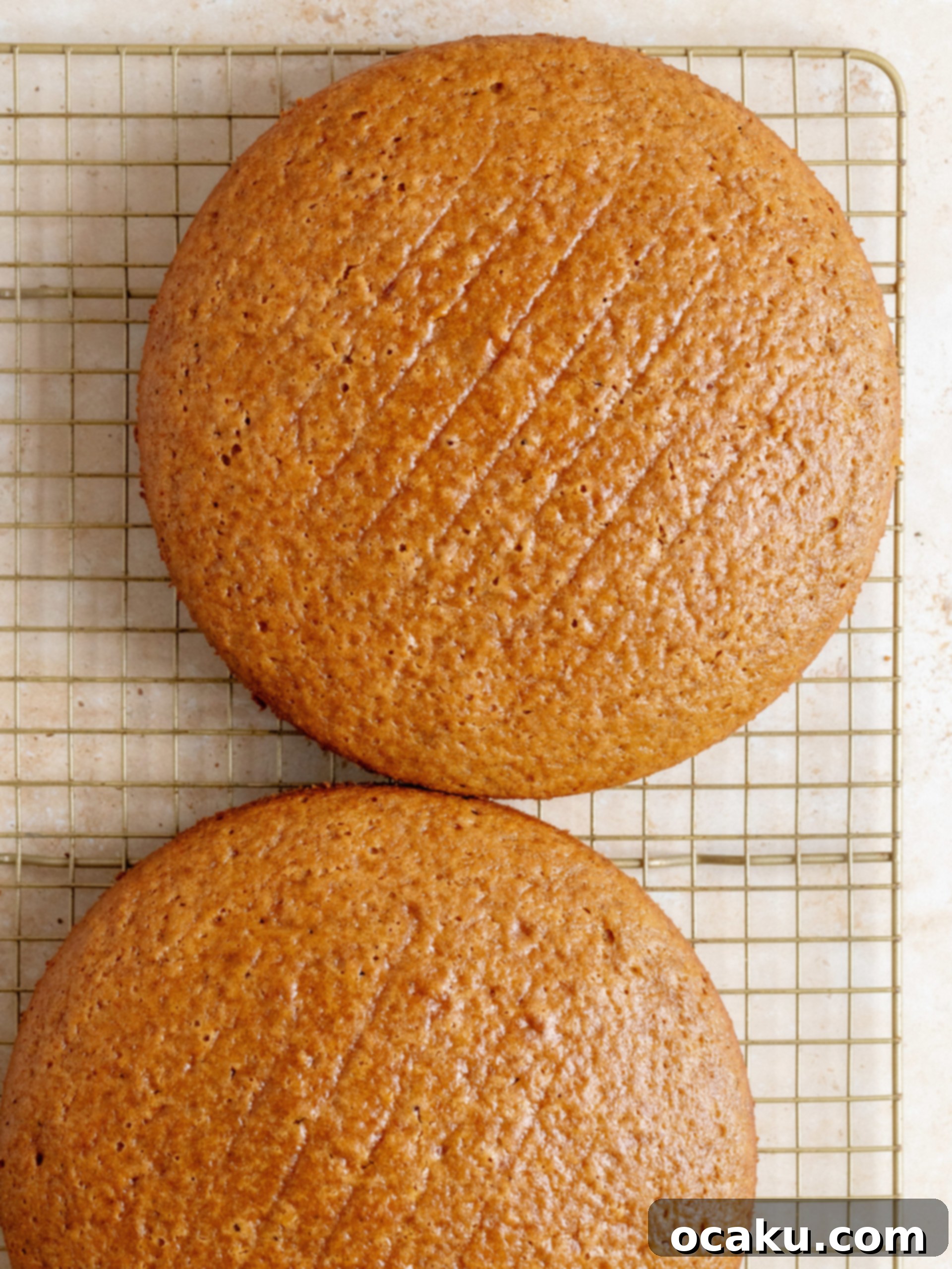 The gingerbread layer cake after the crumb coat, chilling in the refrigerator.