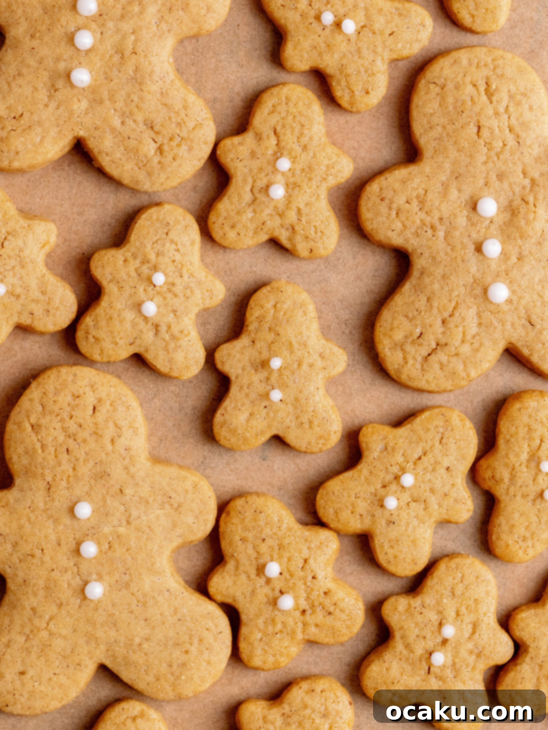 Freshly baked gingerbread cookies cooling on a wire rack.