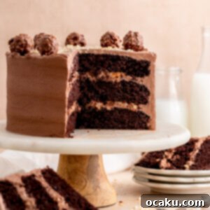 Ferrero Rocher Chocolate Hazelnut Cake 11 A slice of Ferrero Rocher Cake showing layers of chocolate cake and Nutella buttercream.