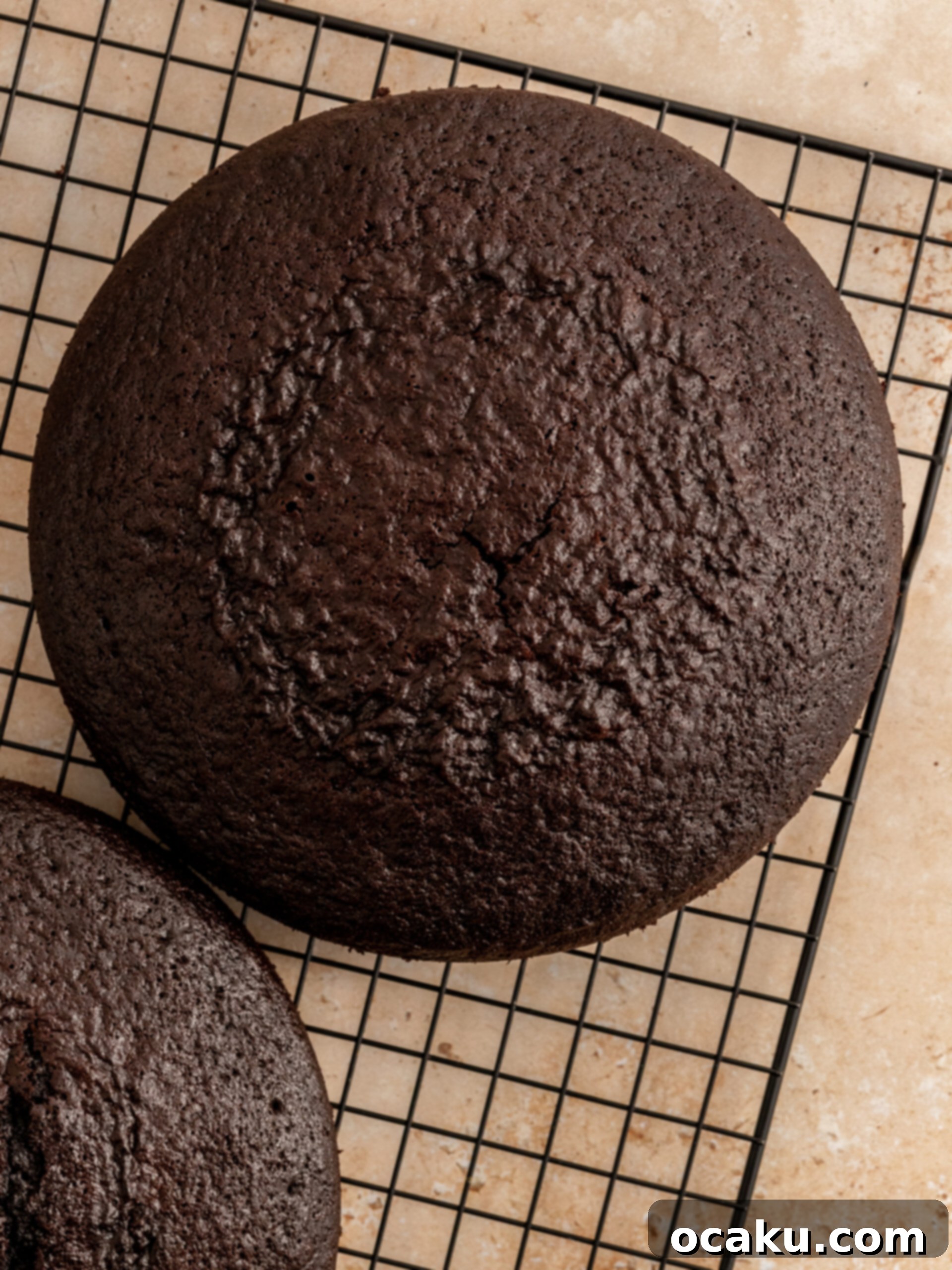 Ferrero Rocher Chocolate Hazelnut Cake 6 Chocolate cake batter divided evenly into three round baking pans.