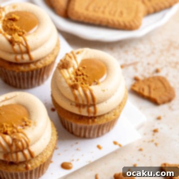 A beautifully frosted Biscoff cupcake on a white plate with a side of Biscoff cookies.