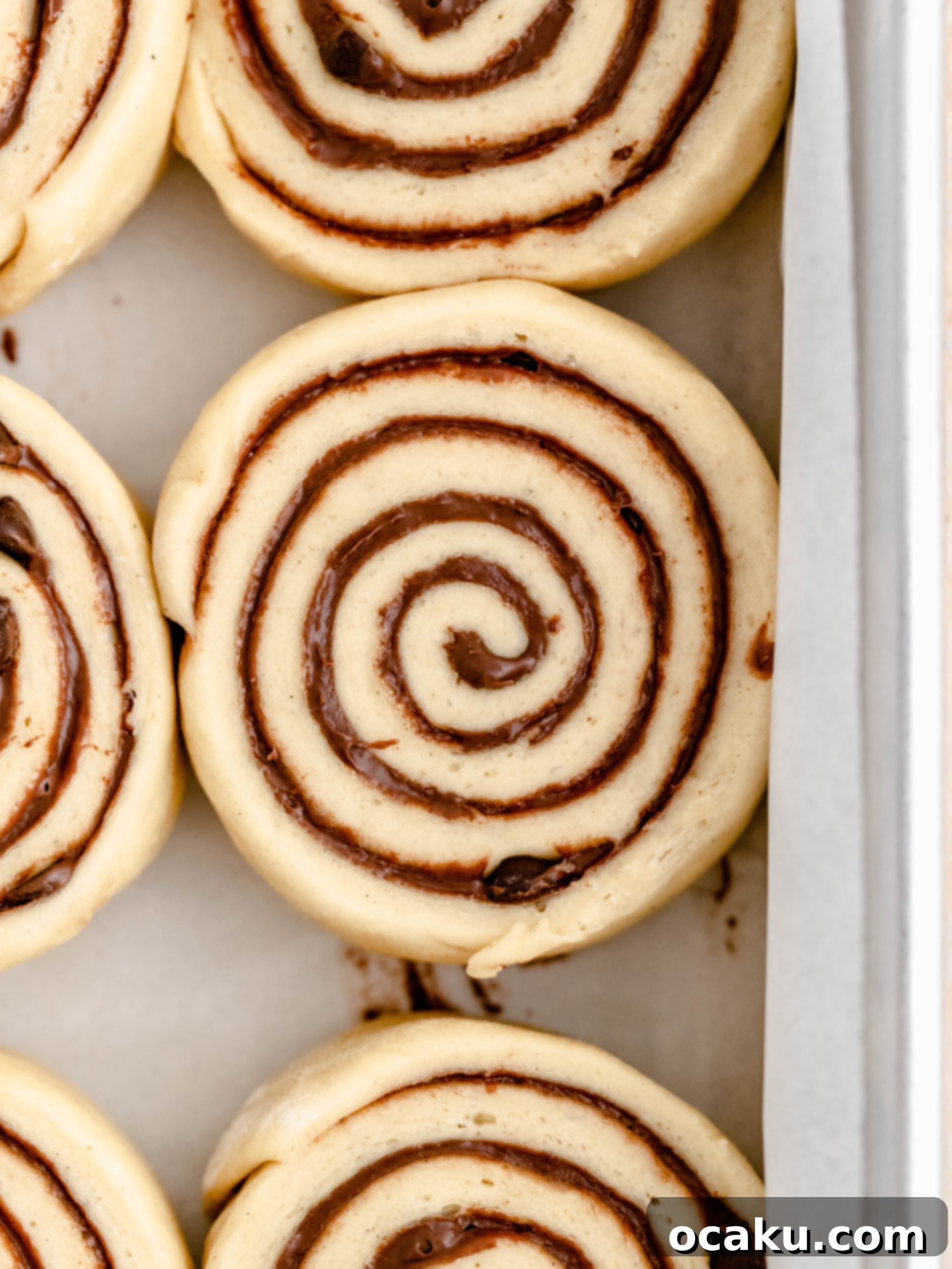 Decadent Nutella Swirls 3 Unbaked Nutella rolls, perfectly shaped and ready for their second rise before baking.