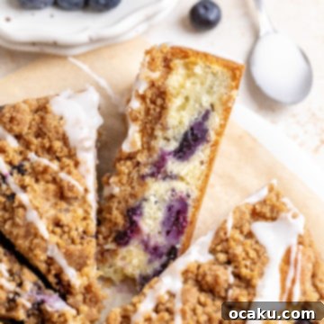 A stunning Blueberry Coffee Cake with crumble topping and lemon glaze.
