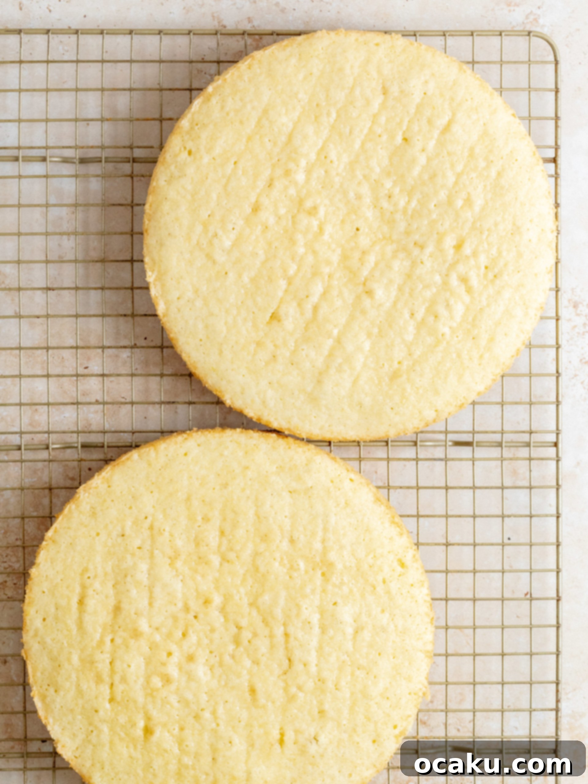 Baked lemon cake layers cooling on a wire rack.