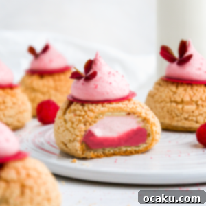 A top-down view of an assembled Raspberry Choux au Craquelin, garnished with raspberry dust and a fresh raspberry.