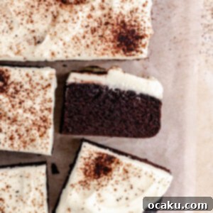 Velvety Chocolate Mascarpone Indulgence 5 Chocolate Mascarpone Cake with smooth mascarpone frosting.