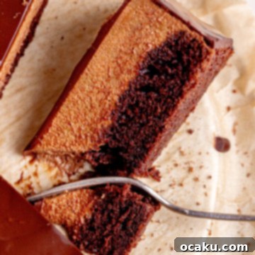 Chocolate Mousse Cake with three layers.