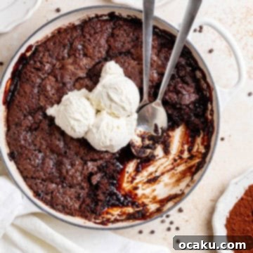 Warm Brown Butter Hot Fudge Cake in a skillet, topped with melting vanilla ice cream and drizzled with more fudge.