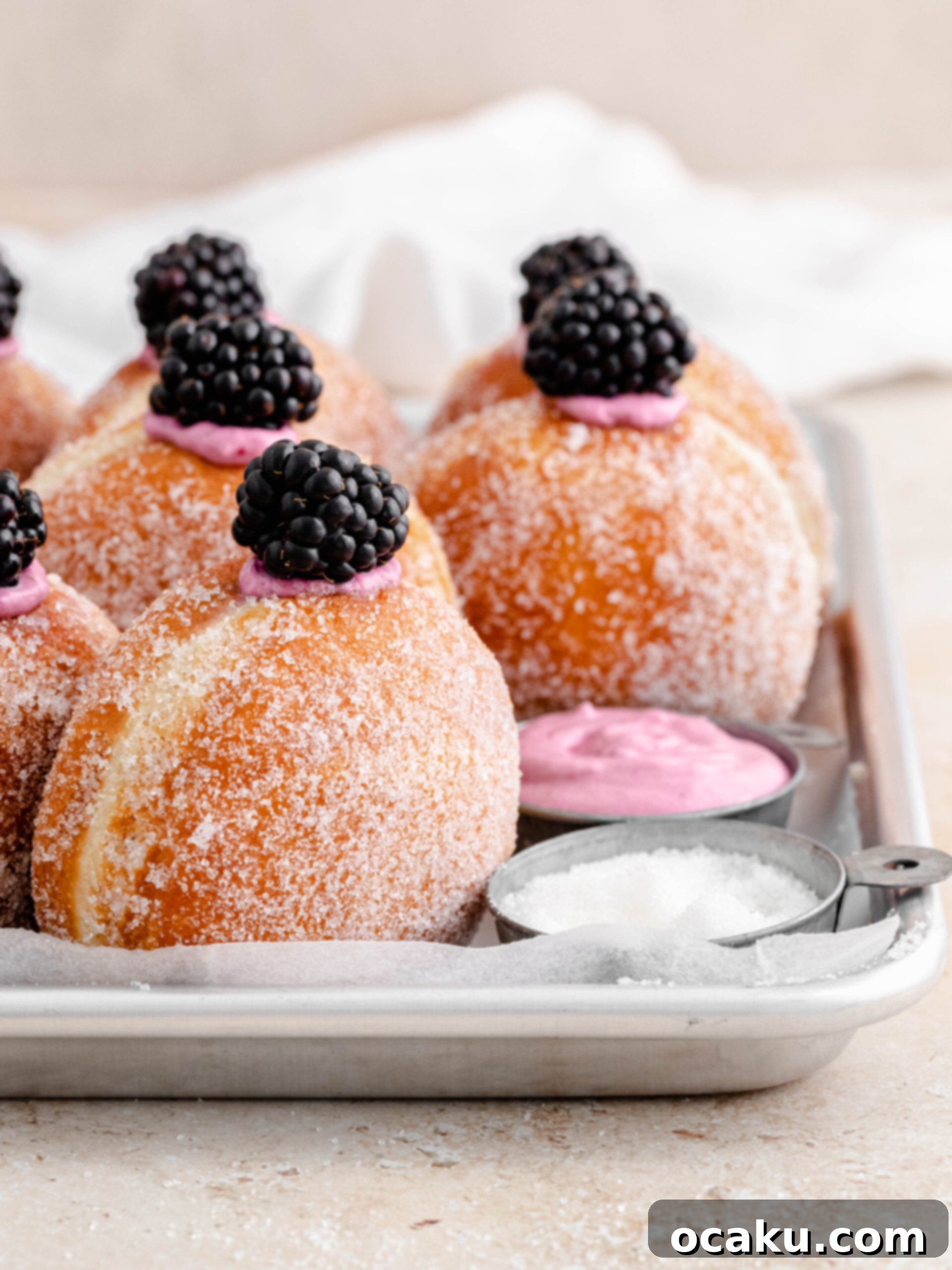 Filled blackberry cheesecake donuts with a creamy purple filling visible.