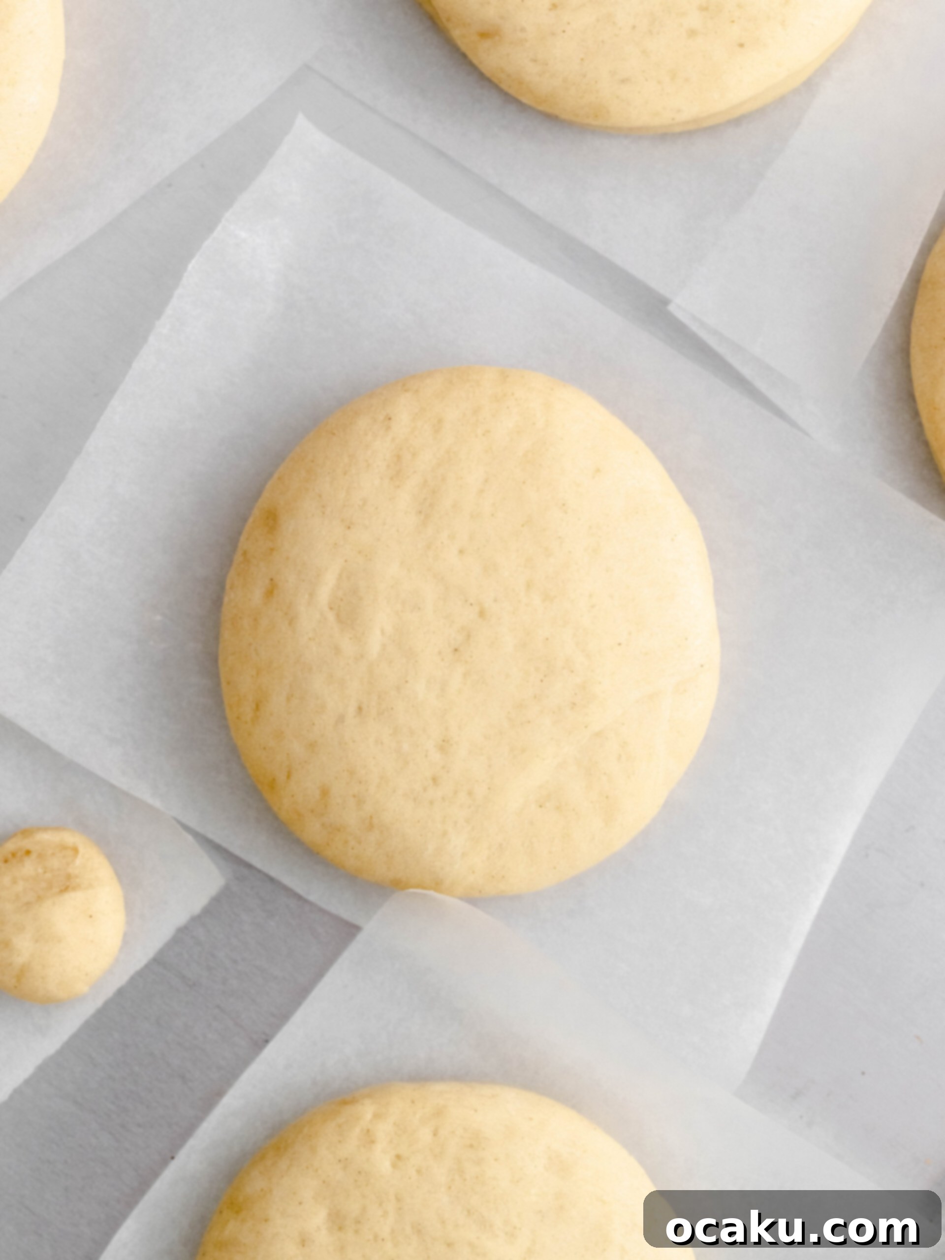 Donut dough being rolled and cut into circles.
