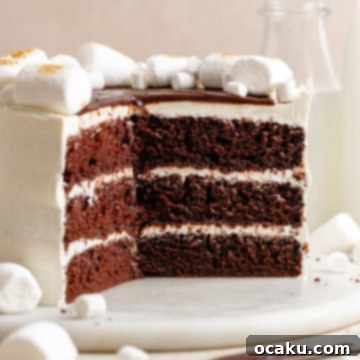A decadent Hot Chocolate Layer Cake with fluffy marshmallow frosting.