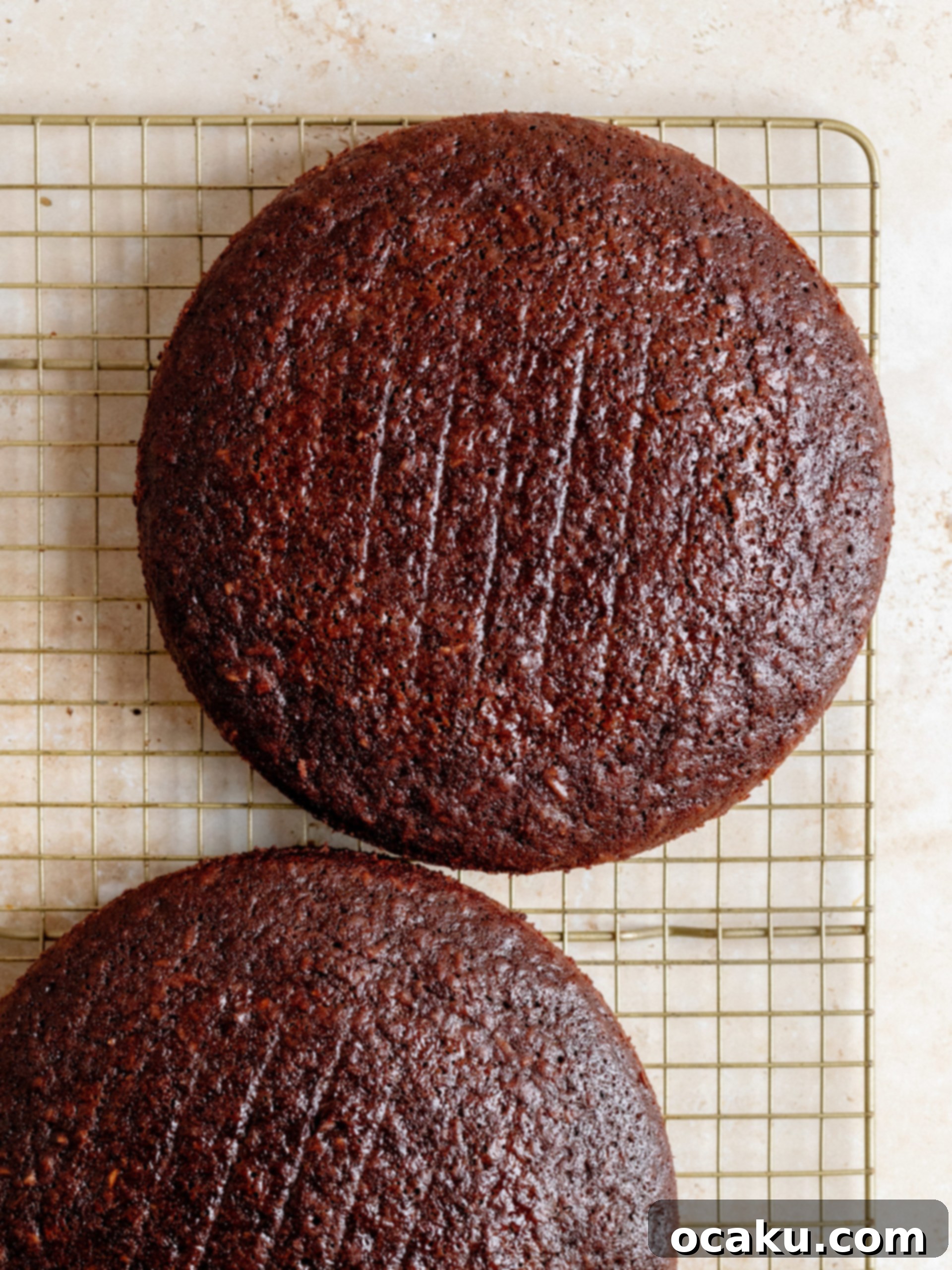 Chocolate cake batter poured into a round baking pan, ready for the oven.
