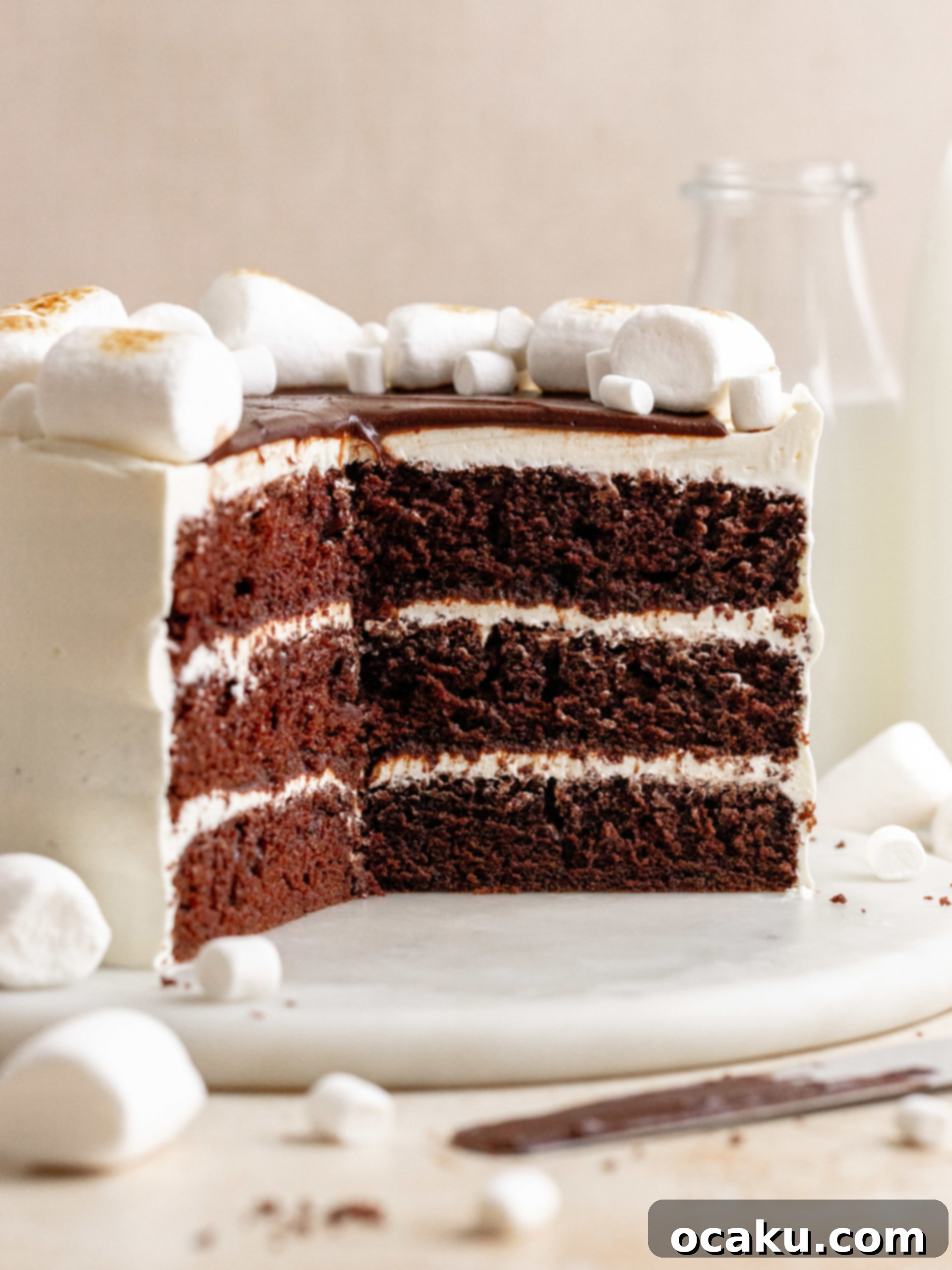 A beautifully decorated Hot Chocolate Layer Cake with toasted marshmallows on top.