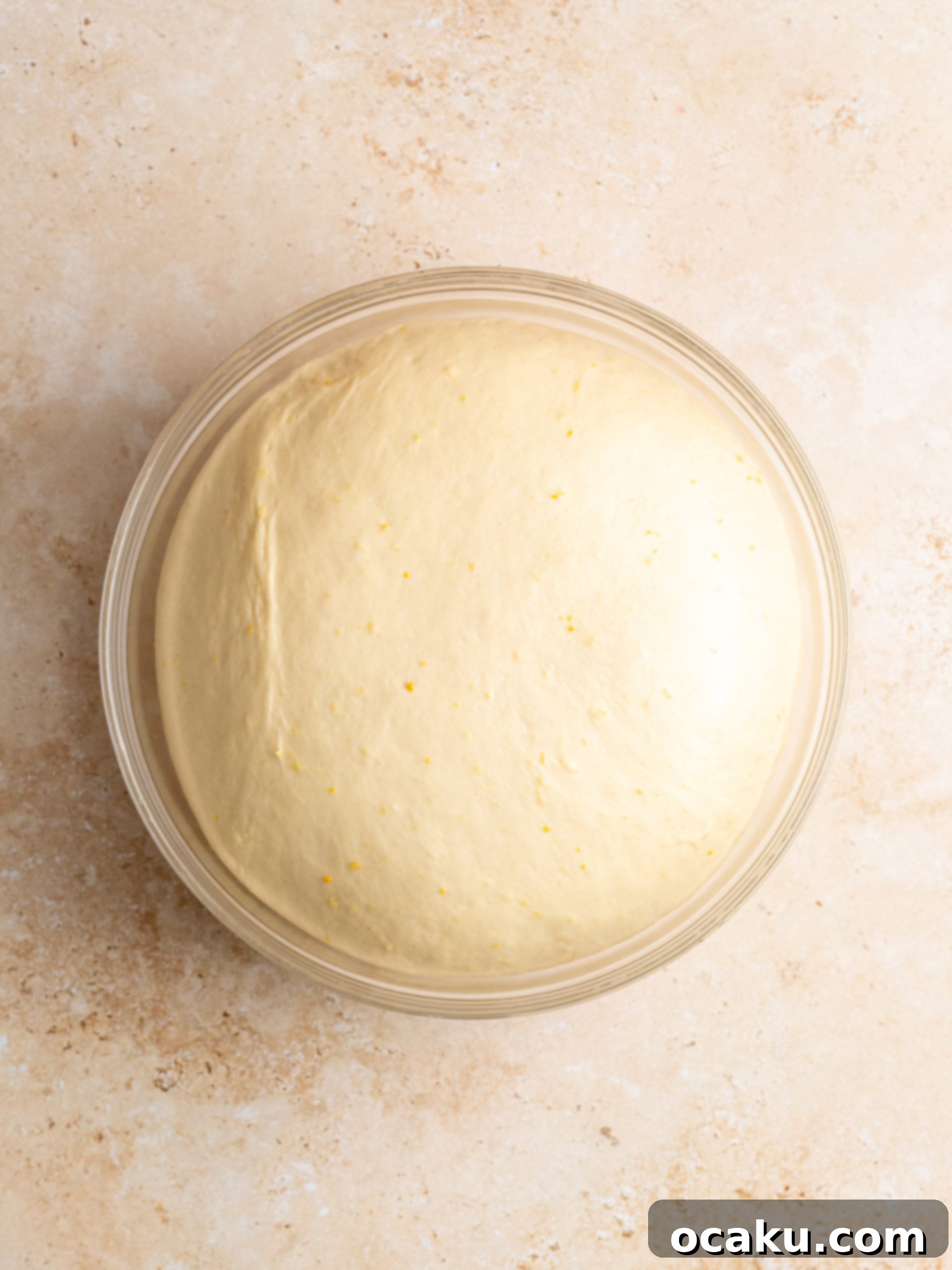 Close-up of dough being mixed in a stand mixer.