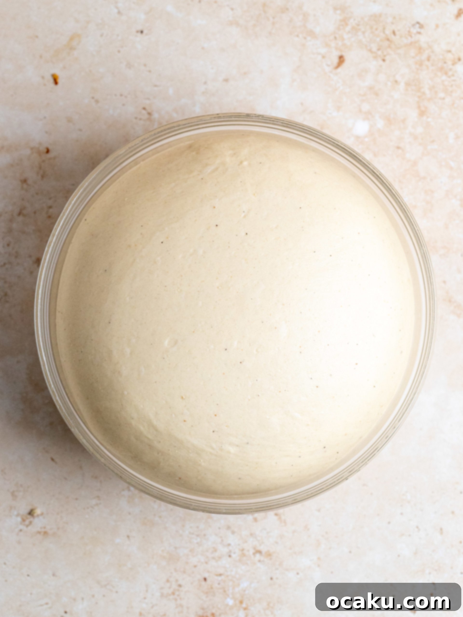 Smooth, elastic dough after kneading in a mixing bowl, ready for its first rise.