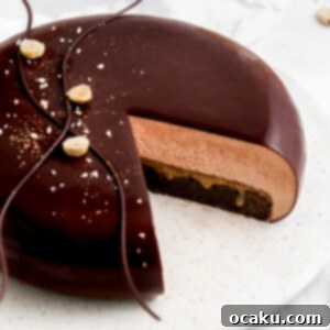 Decadent Nutella Brownie Mousse Cake 6 A stunning Brownie and Nutella Mousse Cake, topped with a glossy mirror glaze, ready to be served.