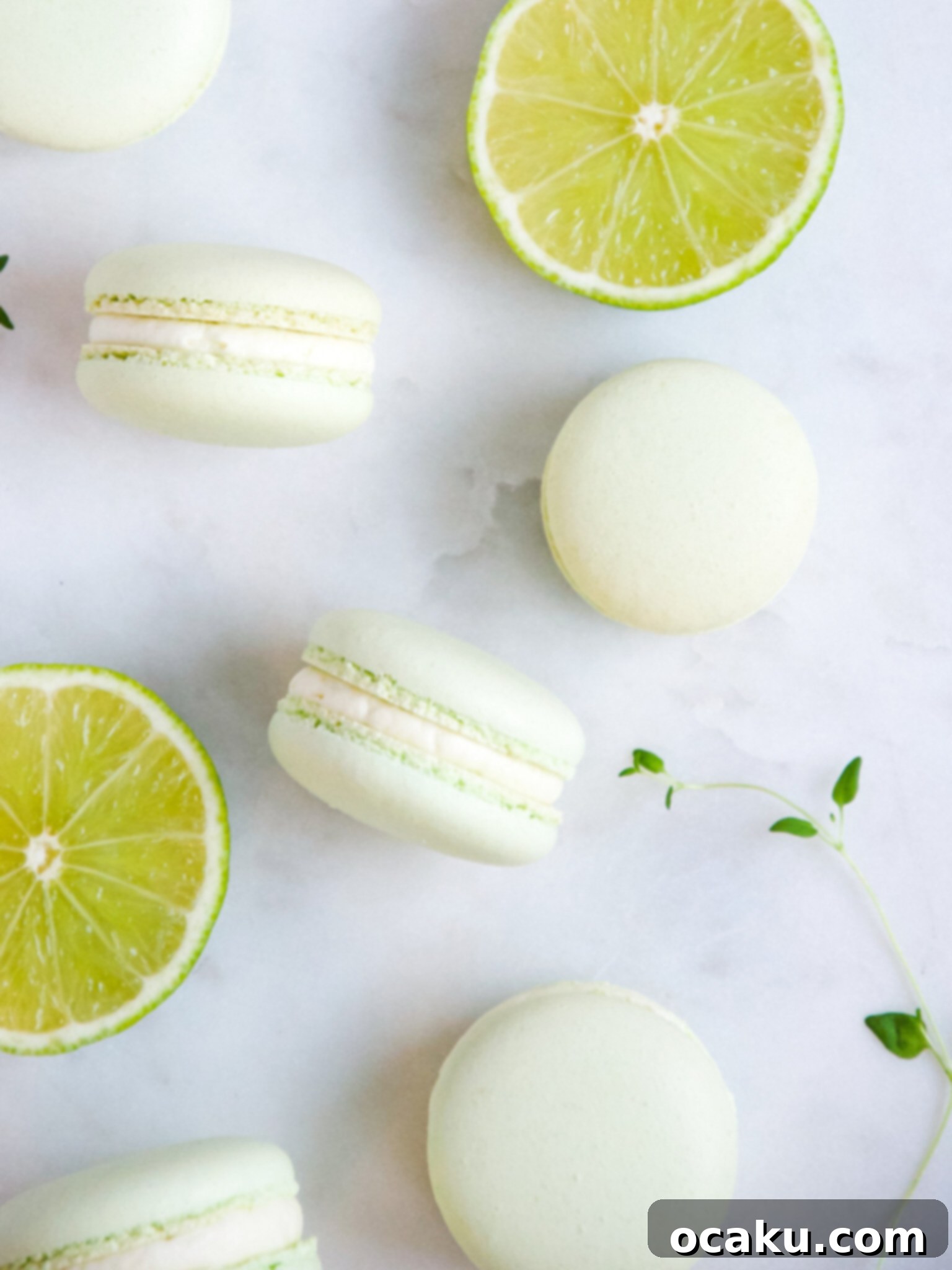 Sunshine Lime Macarons 5 A display of beautifully plated zesty lime macarons.