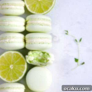 Sunshine Lime Macarons 6 Zesty Lime Macarons